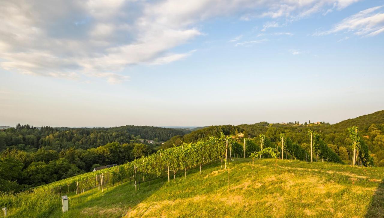 Weinzeit Chalets Gamlitz Buitenkant foto